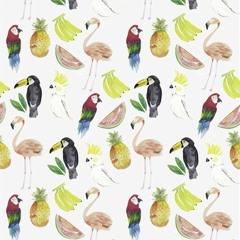 Casa Babilon Petit mix