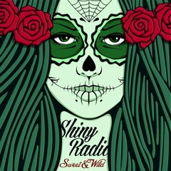 Shiny Radio - Hide Your Heart