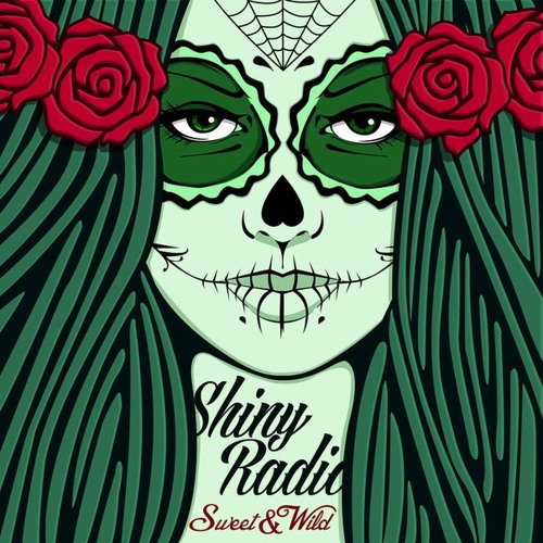 Shiny Radio - Hide Your Heart
