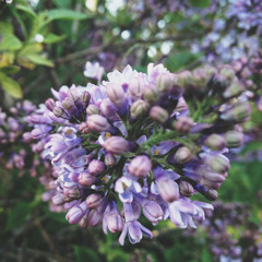 Кабаре - Бэнд Серебряная Свадьба - Я Жизнь Люблю...