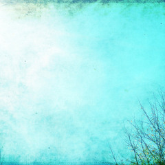 Turquoise Sky