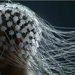 MDC - . Estamos desconectados