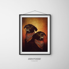 BSN Posse Feat Amati - Break Down [CLIP] - SLM138