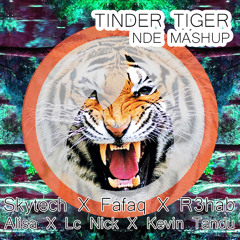 Tinder Tiger (NDE MASHUP)