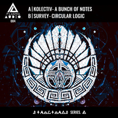 PLASMA004A Kolectiv - A Bunch Of Notes (OUT NOW)