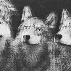 Frequency Inverted - Fuck The Logic