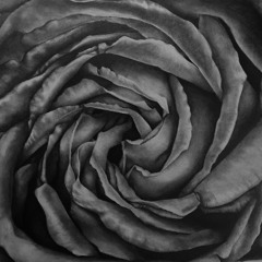 Vitor Munhoz, Mario Capatto -  KORA (original)