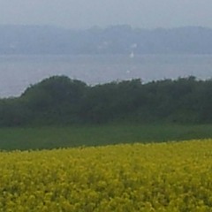 Wie nur sag ich's