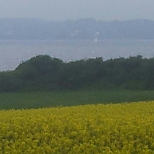Wie nur sag ich's
