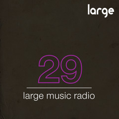 Large Podcast #29 Mixed By Sebb Junior