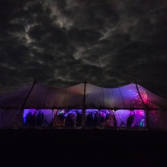 Triplicity Festival 2015 Set Recording - Bushprog Set