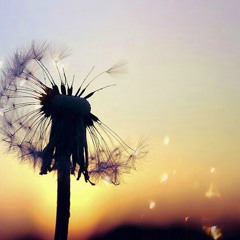 Pablo Escudero - Guest Mix at Playa Grande (Live)