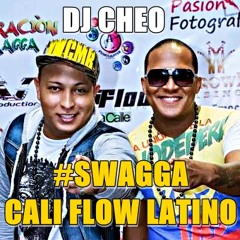 INTRO SWAGGA CALI FLOW LATINO DJ CHEO (100.3 BPM)