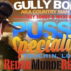 Pussy Specialist Remix Gully Bop