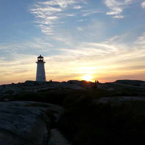 Adam's Techno / Tech-house