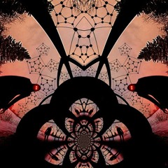 Electro-House-Dance