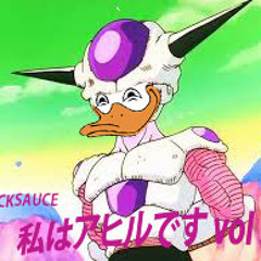 私はアヒルです vol 1.