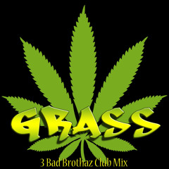 Grass (3 Bad Brothaz Club Mix)