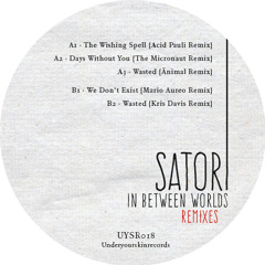 Satori - Wasted (Kris Davis Remix)