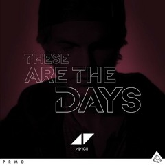 Avicii - The Days (New Vocals) Feat Brandon Flowers