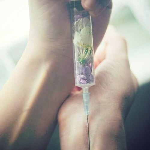 Jinsiy sochli rus mushuklari