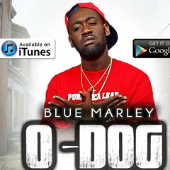 Bluemarley.  Odog