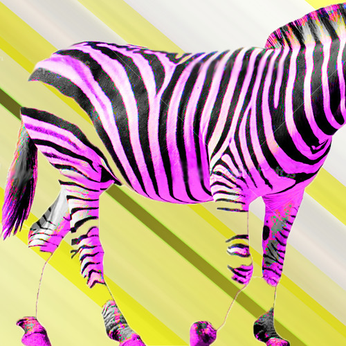 Pink Zebra.