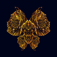 Kidult Hood - Set Fire (Original)