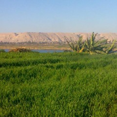 جابر أبو حسين