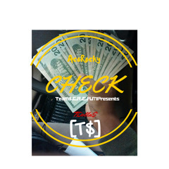 AcoR - Check Remix [T$]