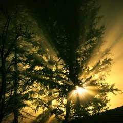 Man anand anand chhayo