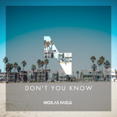 Nicolas Haelg - Don't You Know (Original Mix)