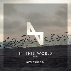 Moby - In This World (Nicolas Haelg Rework)