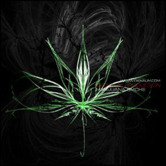 Marijuana Smoke |FULL VERSION - WWW.DIENAUM.COM|EXCLUSIVE - 80$|NO SAMPLE|