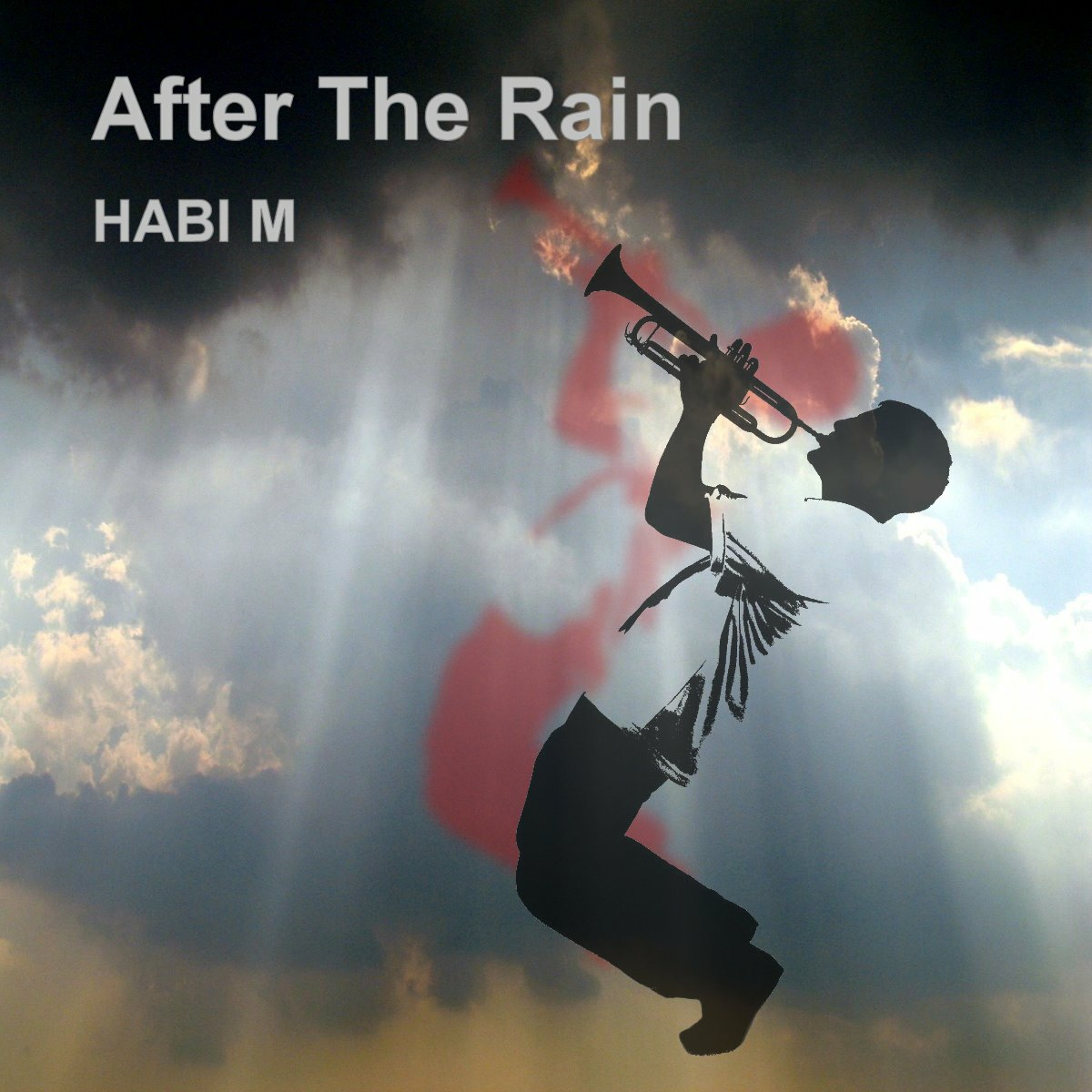 HABI M
