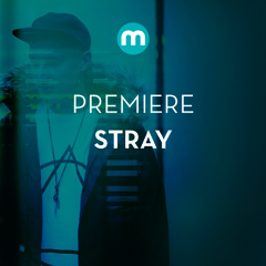 Premiere: Stray 'Branflakes'