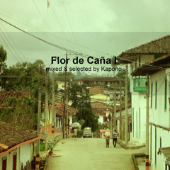 Flor de Caña I