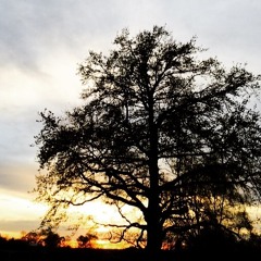 Hydrogenii & Uprooted - Spread the love mix