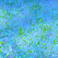 L'espace libre entre les choses - Radio Galère