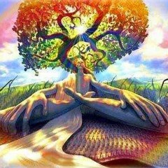 Psychedelic meditation