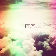 Fly