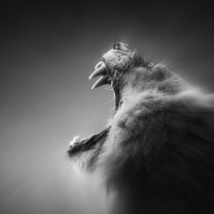 Pheetus & Bobby Vs Filthy French & FUTURPOETS - Let's Get Fucked Up (Original Mix)