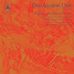 Destruction Unit - "If Death Ever Slept"