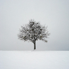 Cracks In Every Bone