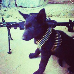 MC JUNINHO DA 10, MC FLAVINHO E CHAVEIRINHO - MEDLEY BOLADA PRO PPG [ LANÇAMENTOS 2015]