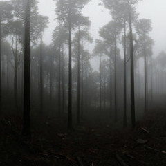 Fink - Suffering is the art of love (cabin mix piano unfinished)