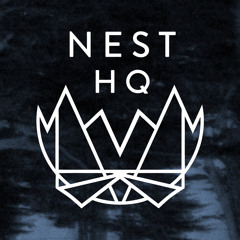 Nest HQ Guest Mix: Nite School Klik (DJ Shadow & G Jones)
