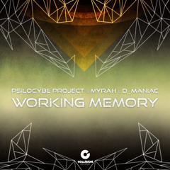 Psilocybe Project & Myrah & D Maniac - Working Memory