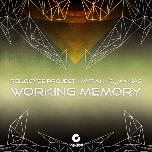 Psilocybe Project & Myrah & D Maniac - Working Memory