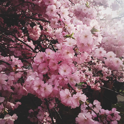 jan amit - and fill the void (sakuraburst remix)